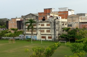 A cluster of swiftlet farms in Sitiawan, Perak, located adjacent to a school playing field. Sitiawan is a town some 200 hundred kilometers from Georgetown, where the industry started in Malaysia. The town’s central area has been almost entirely converted to swiftlet farming over the past 15 years.